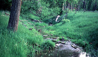 Example of Stormwater Management