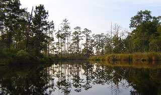 Example of Stormwater Management